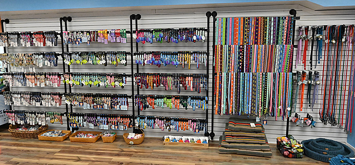 Leashes and collars inside Sea Dog Pet Boutique