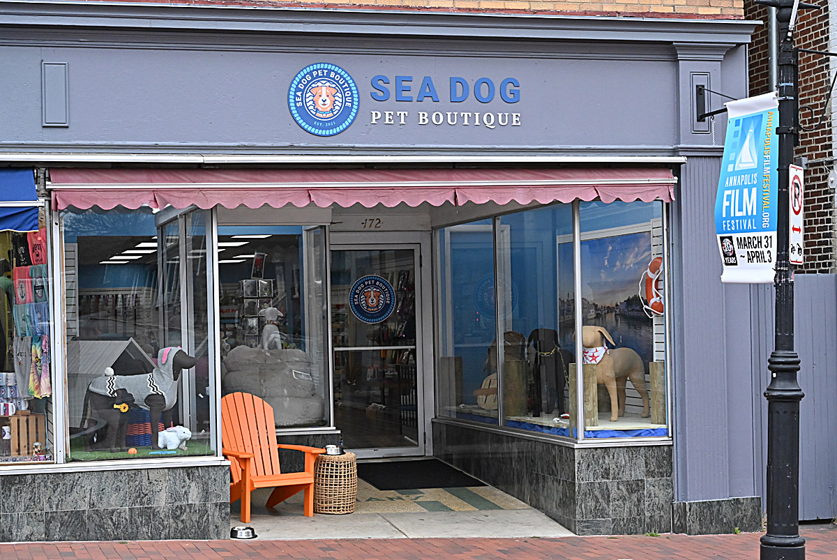 Sea Dog Pet Boutique Store Front